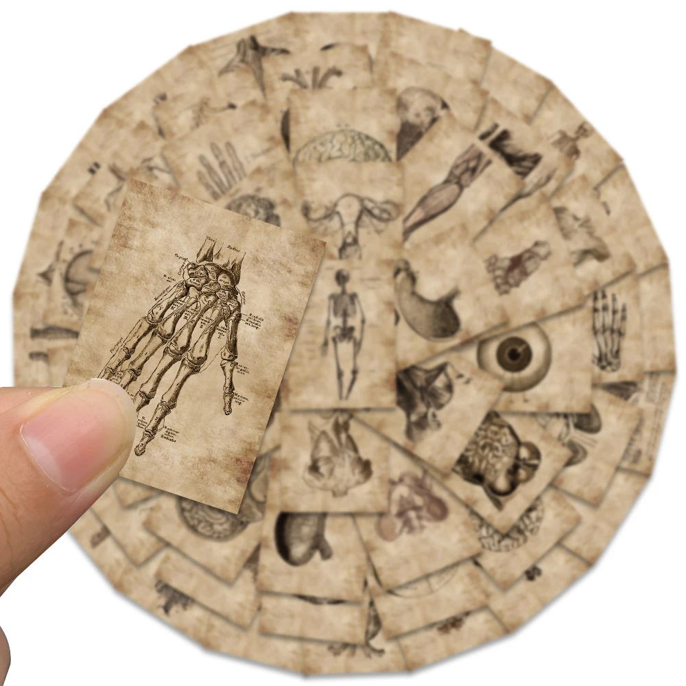 창의적인 인체 해부학 생리와 심장 두개골 의료 기관 스티커, 해골 그래피티 스티커, 수하물 노트북 스티커, 56 개