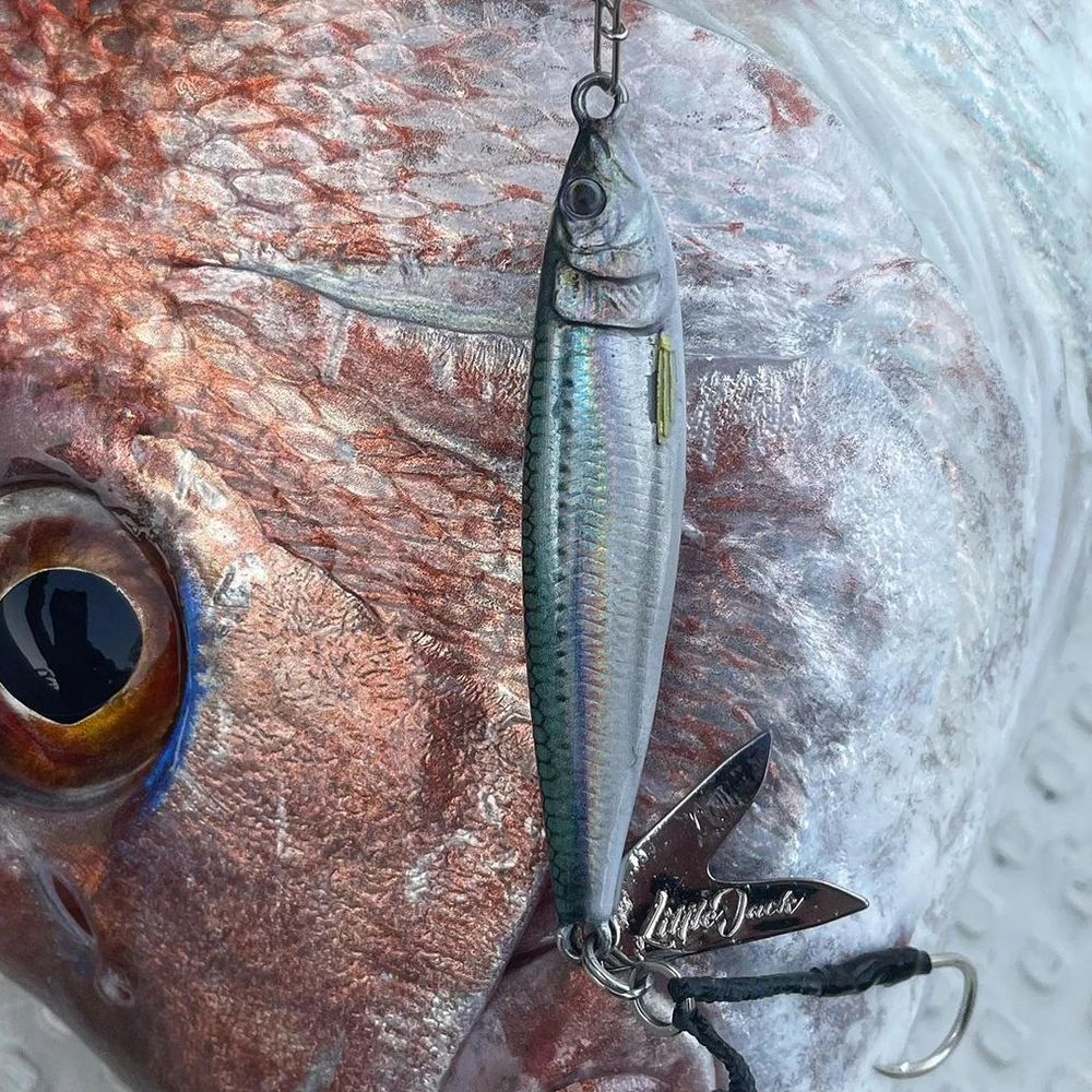 바닷물 낚시 루어, 3D 금속 지그, 해안 지깅, 슬로우 드래그 캐스트, 인공 스푼 미끼, 농어 참치, 마히 말린용, 40G60G80G