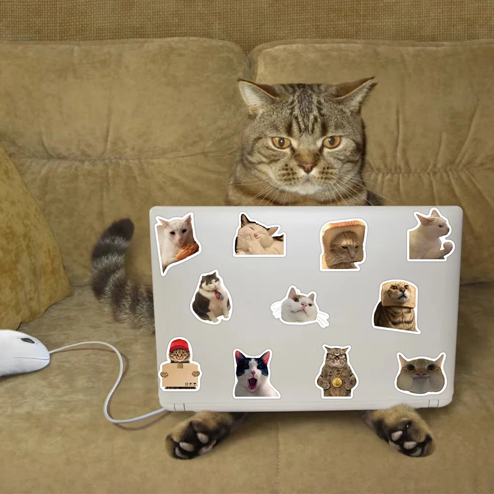귀여운 고양이 개 스티커 재미있는 밈 애완 동물 데칼, 노트북 휴대폰 여행 수하물 병, 스크랩북 자동차 팩 스티커, 50 개, 100 개