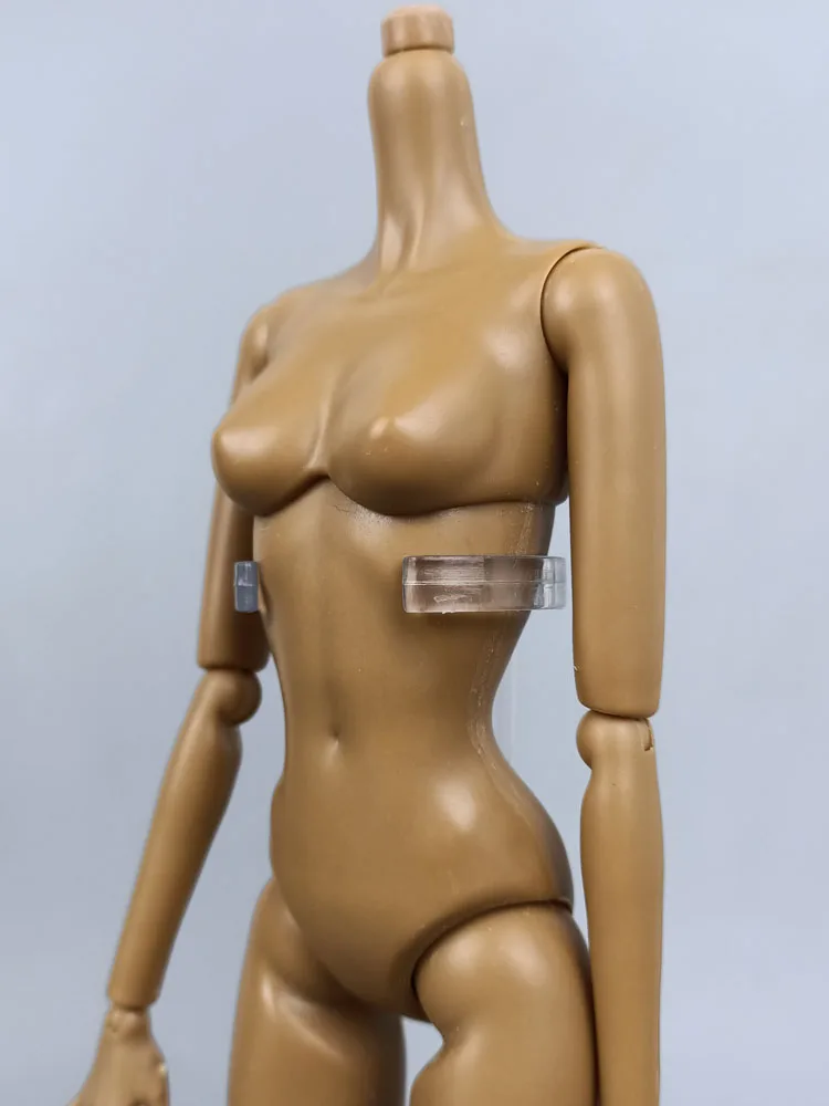 밝은 갈색 관절 인형 바디 11.5 