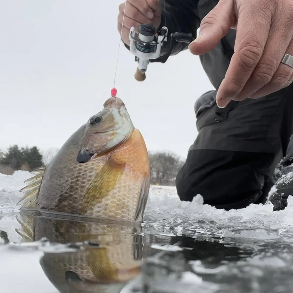 MUUNN 텅스텐 얼음 지그 하야부사 후크, UV 글로우 다채로운 겨울 낚시 후크, 퍼치 크래피 블루길 루어 태클, 2.7mm-6mm, 5 개
