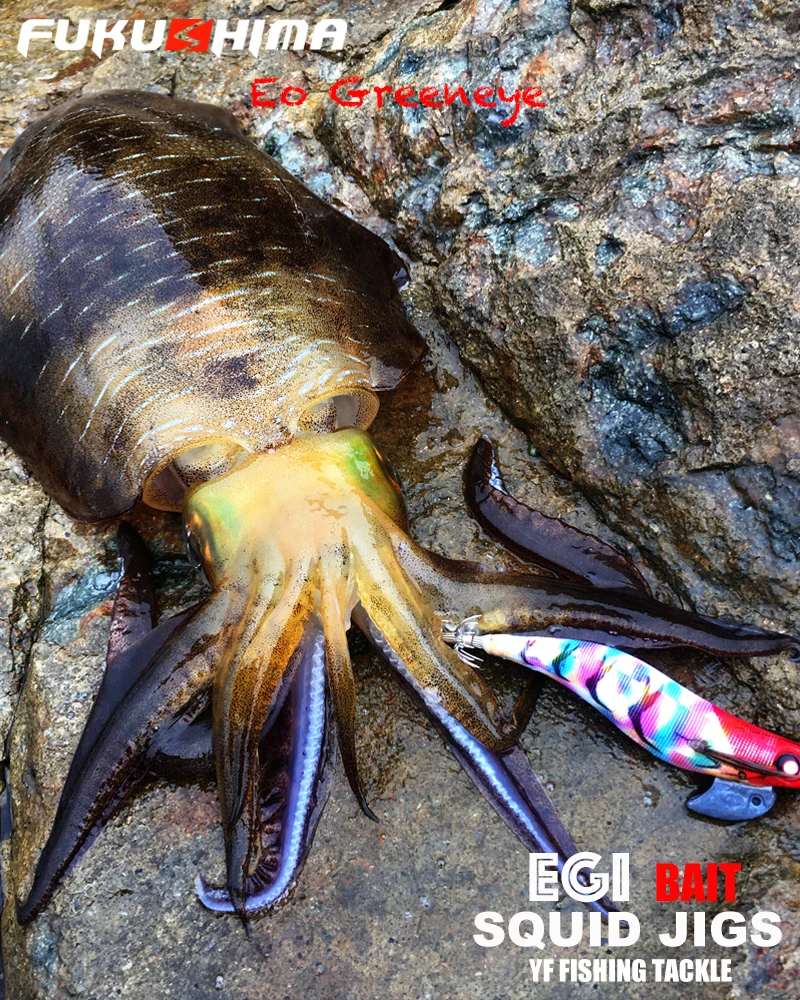 후쿠시마 3.5 EO GREENEYES 20그램 오징어 지그 글로우 에기 루어 낚시 나무 새우 미끼 샤프 후크 오징어 문어 보트 낚시