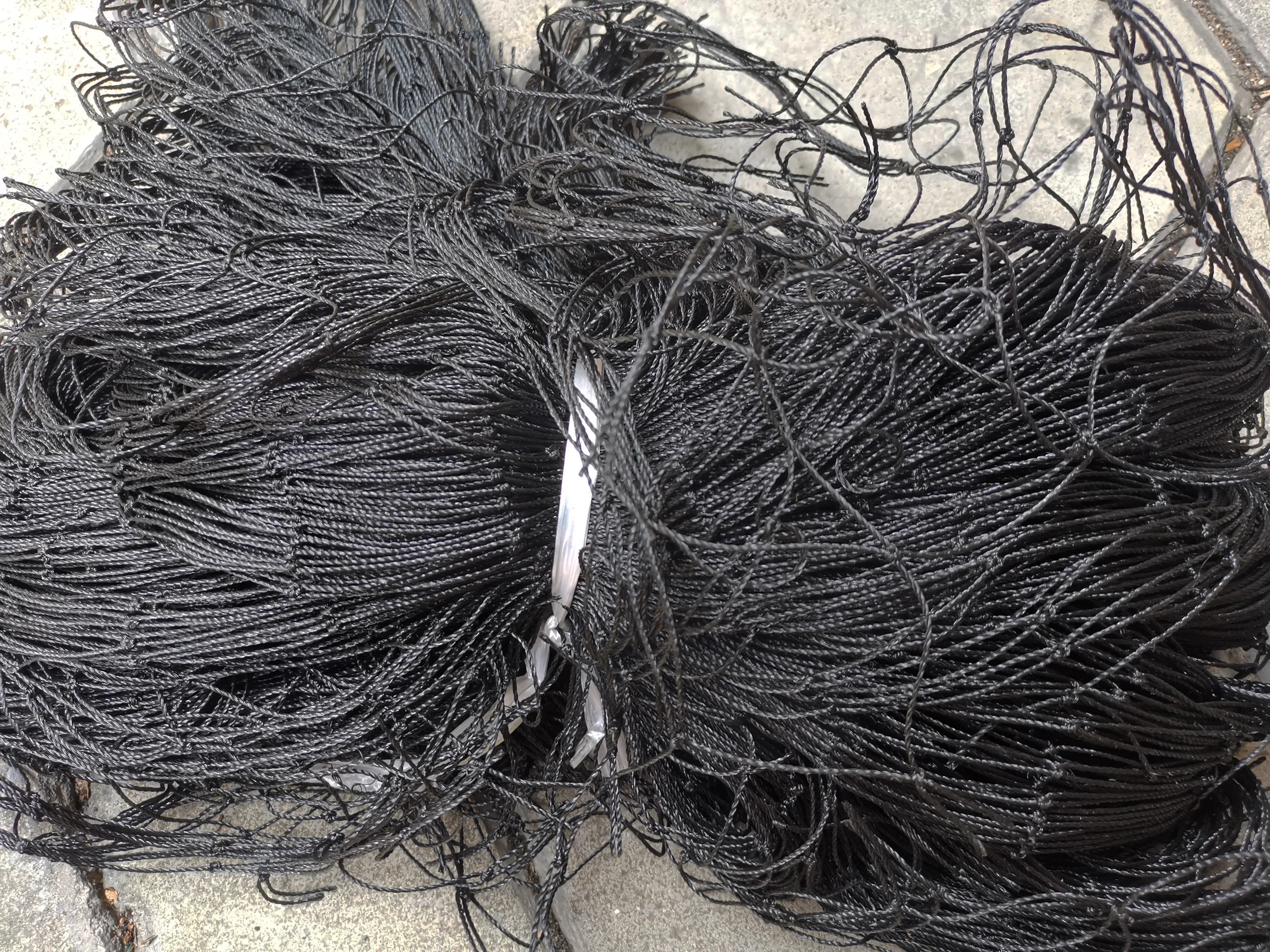 조류 그물 조류 사슴 방지 보호 그물, 농작물 정원 그물, 새, 고양이, 사슴 및 동물로부터 보호