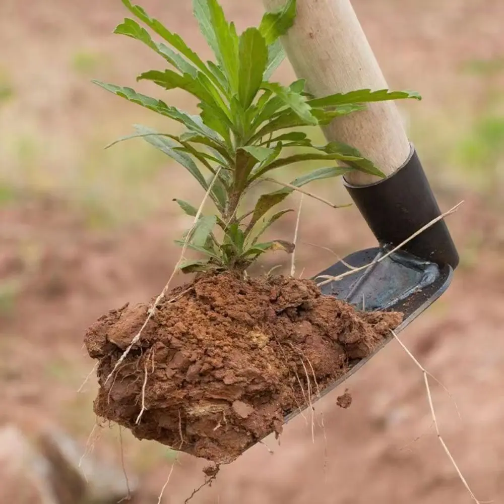 두꺼운 다기능 정원 삽, 튼튼한 강철 청소 삽, 잡초 제거기, 야외 정원, 20 cm, 23 cm, 25 cm, 27 cm, 30cm