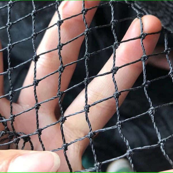 조류 그물 조류 사슴 방지 보호 그물, 농작물 정원 그물, 새, 고양이, 사슴 및 동물로부터 보호 title=조류 그물 조류 사슴 방지 보호 그물, 농작물 정원 그물, 새, 고양이, 사슴 및 동물로부터 보호 