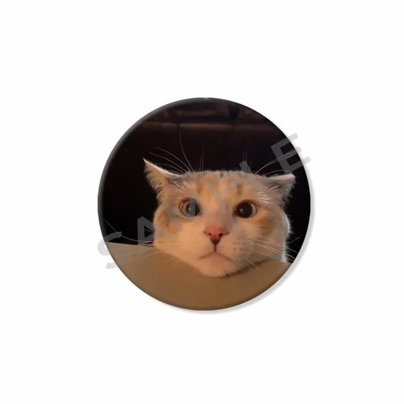 50mm Tinplate 소프트 버튼 핀 재미 있은 고양이 Meme 모자 가방에 대 한 라운드 브로치 크리 에이 티브 옷 깃 배지 쥬얼리 액세서리 어린이를위한 선물