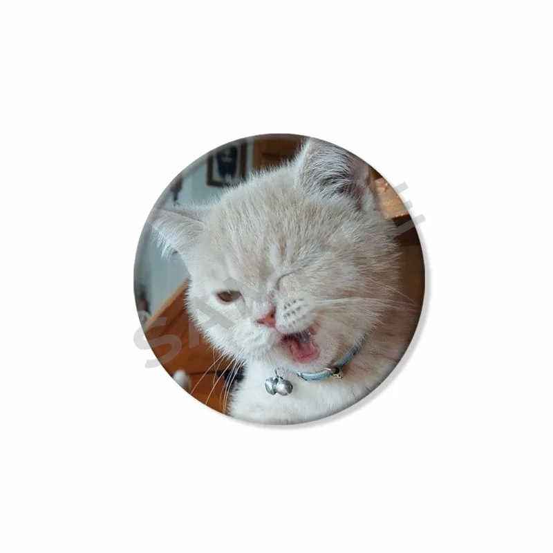 50mm Tinplate 소프트 버튼 핀 재미 있은 고양이 Meme 모자 가방에 대 한 라운드 브로치 크리 에이 티브 옷 깃 배지 쥬얼리 액세서리 어린이를위한 선물