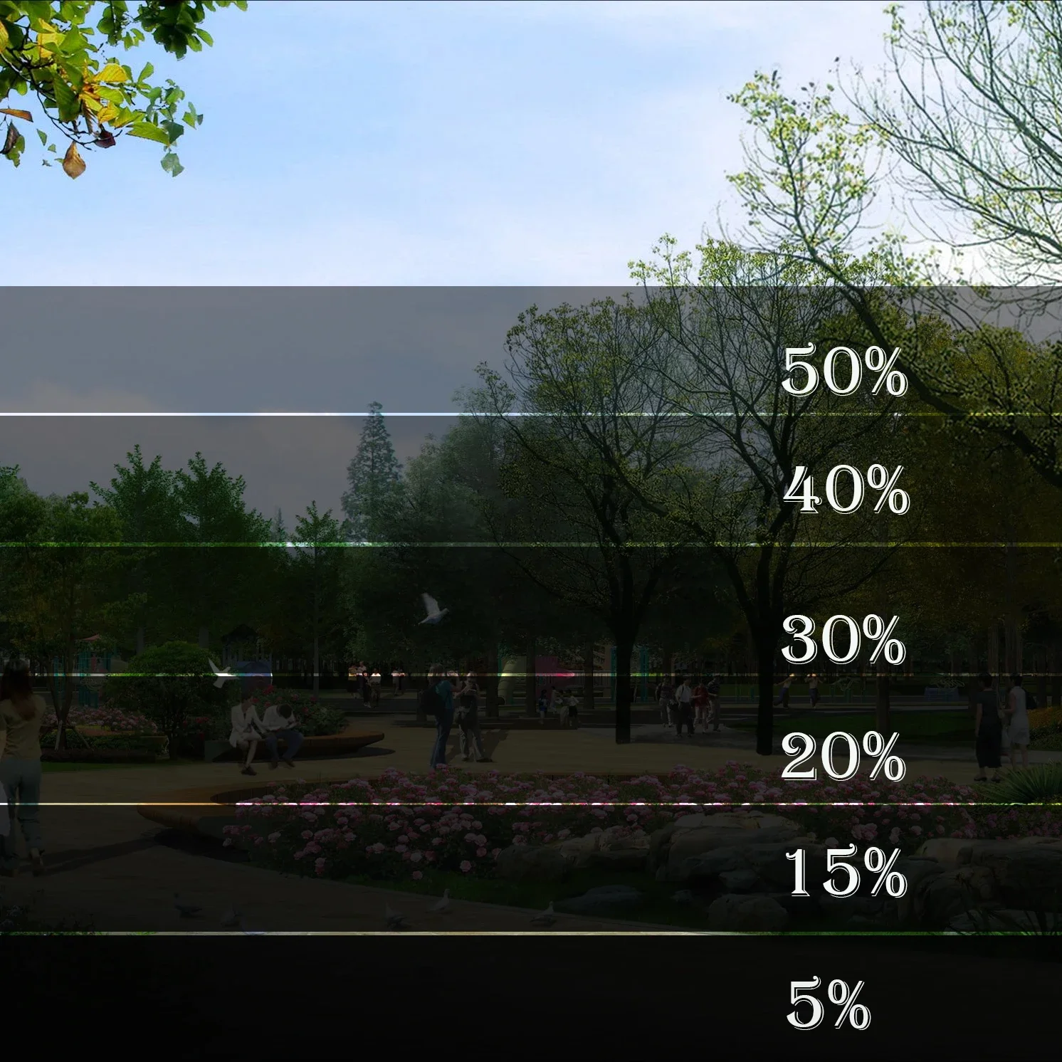 자동차 용 창 색조 필름 개인 정보 보호 자동차 그늘 앞 유리 열 및 UV 차단 정전 창 필름 자동차 자동차 앞 유리 차양
