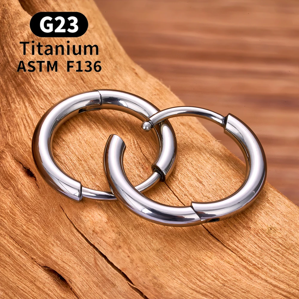 2/20PCS G23 티타늄 귀걸이 후프 CZ 힌지 세그먼트 라운드 코 링 여성용 귀 Tragus 연골 헬릭스 Daith 피어싱 쥬얼리